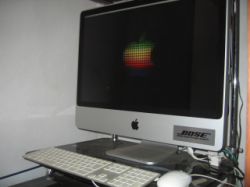 Vendo iMac modelo 2008